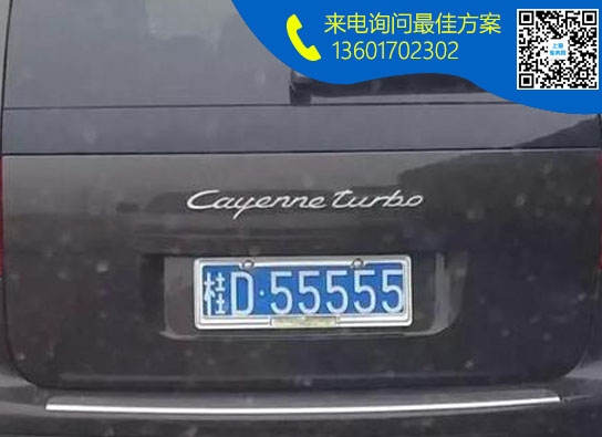 桂D.jpg 桂D.jpg